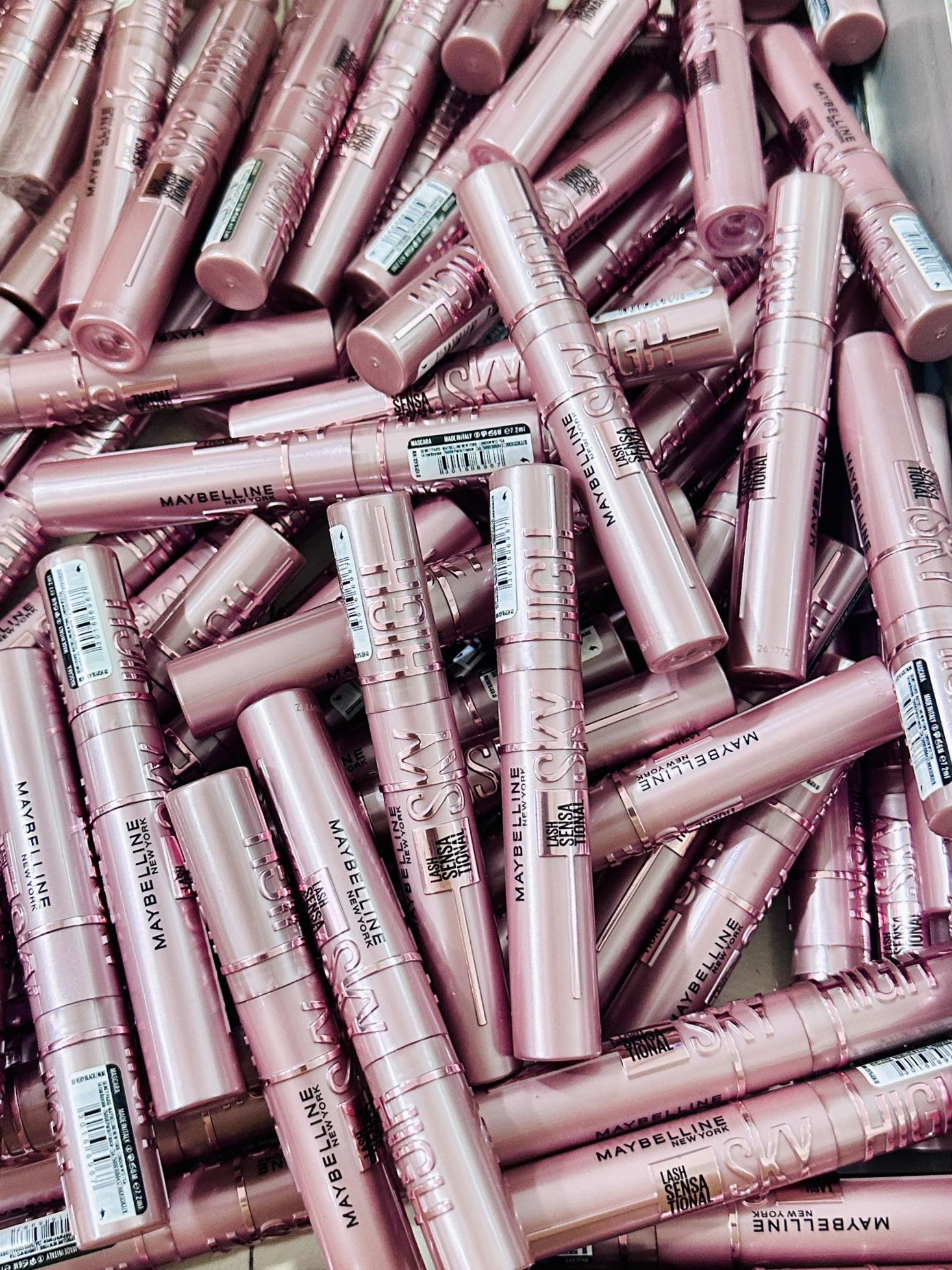 495547813_1084765320343900_3973701857060227079_n