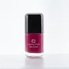 Nirvana Color Nail Enamel (Pretty girl 17)