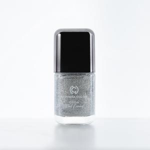 Nirvana Color Nail Enamel Glitter (Focous on 23)