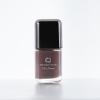 Nirvana Color Nail Enamel (I am jealous 05)